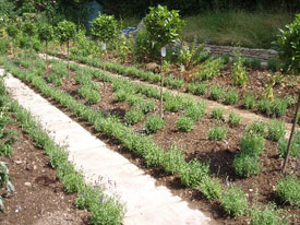 Guildford Landscaped Garden